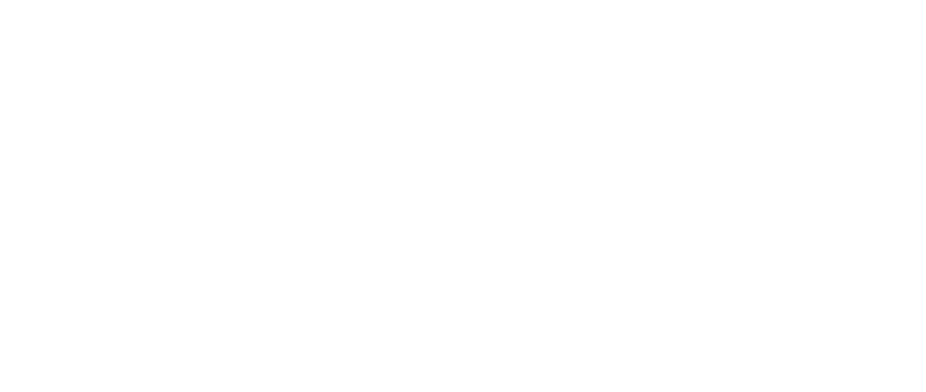printaly logo